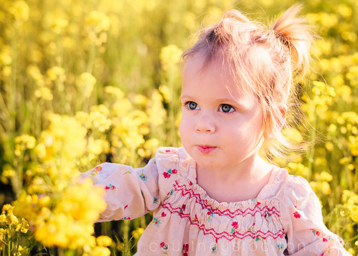 mustard flowers_courtney stockton photography-10