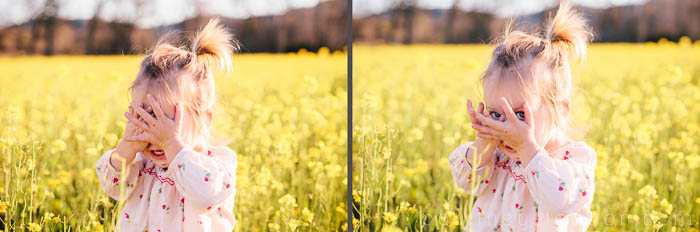 mustard flowers_courtney stockton photography-12