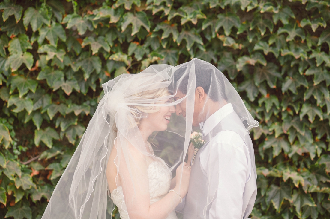 Guglielmo Winery Wedding, Peach Wedding, Sunflower wedding bouquet, Napa wedding photographer, Sonoma wedding photographer, wine country wedding photographer, winery wedding, aaron and mckenna wedding, northern california wedding photographer, lifestyle wedding photography, wedding photojournalism