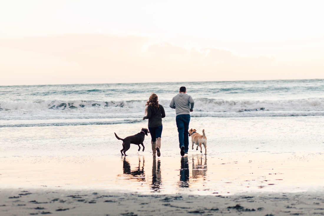 Marin engagement photographer, napa engagement photographer, sonoma engagement photographer, muir beach, muir beach engagement session, napa wedding photographer, sonoma wedding photographer, courtney stockton photography, beach engagement, engagement session with dogs