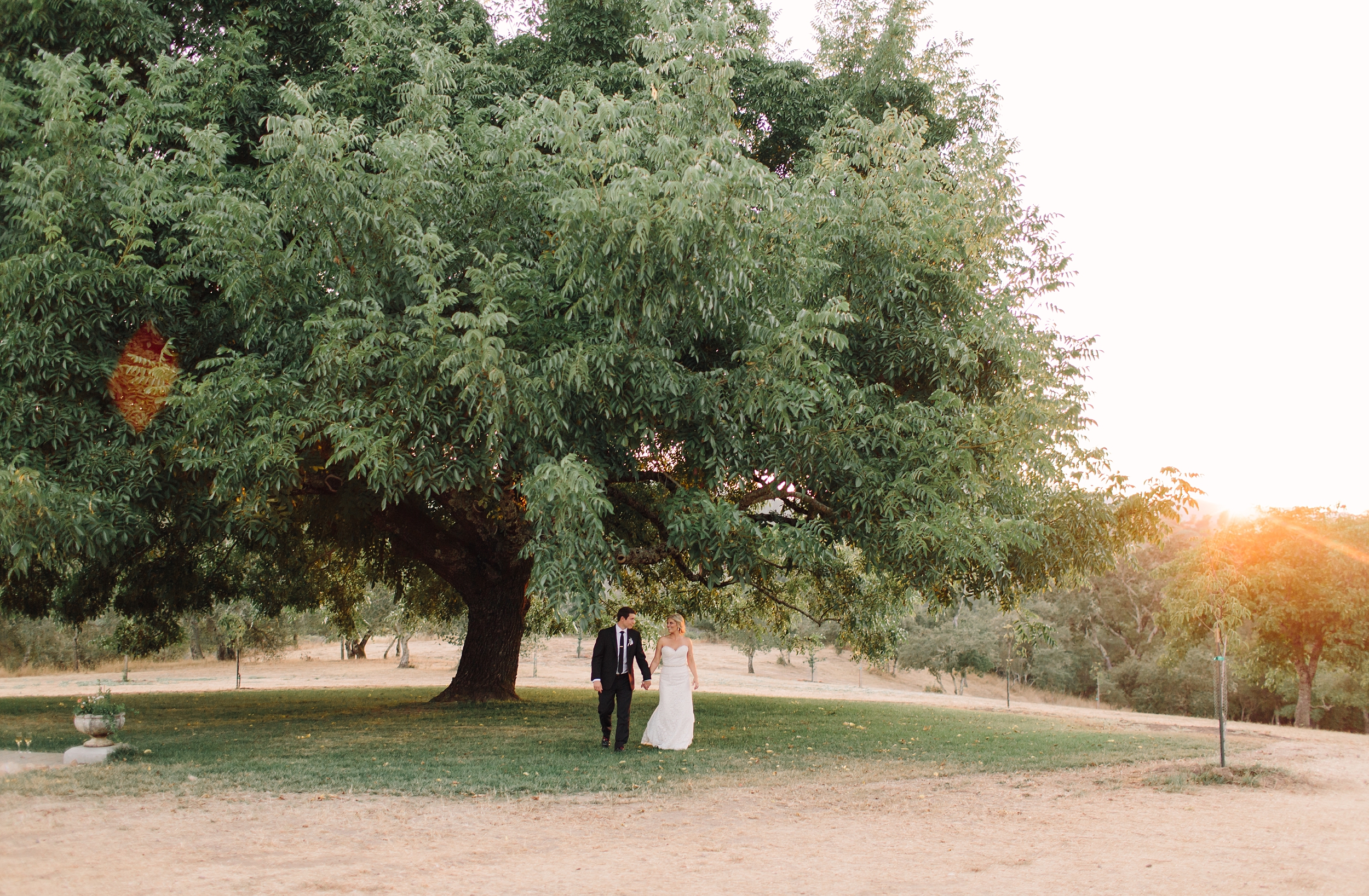 Sarah + Jeff | Triple S Ranch Wedding | Calistoga Wedding Photographer