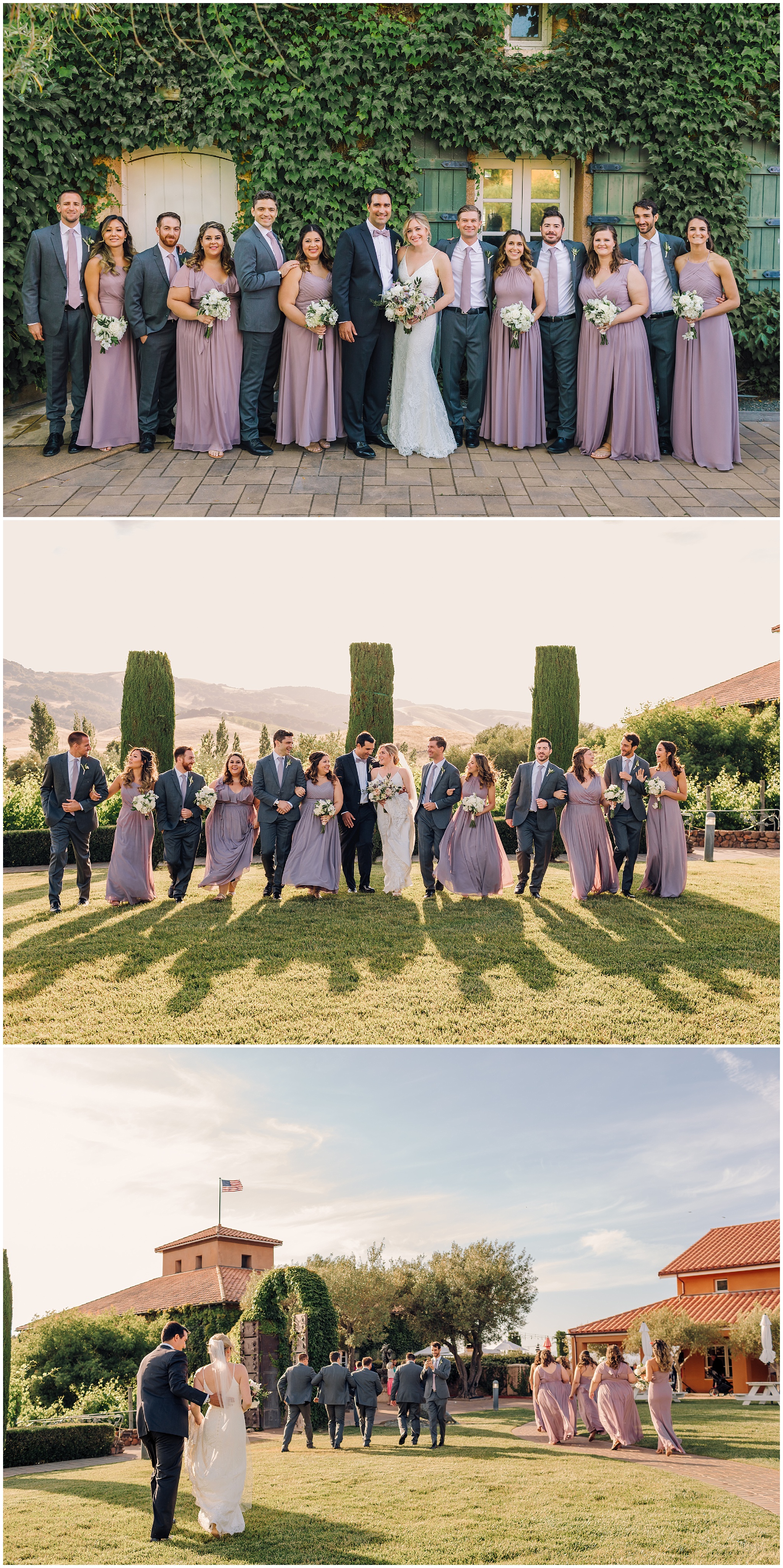Viansa Winery Sonoma, Viansa Winery Wedding, courtney stockton photography, ybarra events, the girl and the fig catering, vanda floral design 
